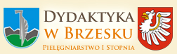 Dydaktyka w Brzesku